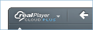 RealPlayer Plus